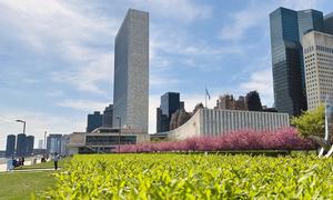 The UN Secretariat building in spring.   