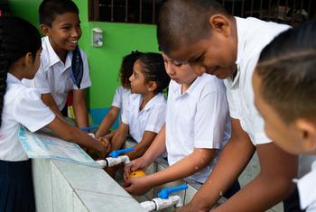 Escuela Vegas del Río Palacios en Limón, Costa Rica. 15 de junio de 2023. Alumnos lavan mangos antes de comerselos en la merienda. UNICEF construyó un nuevo tanque entre octubre y noviembre de 2022 con mayor capacidad que les permite almacenar agua para …