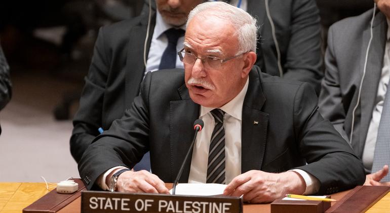 وزير الخارجية الفلسطيني، رياض المالكي متحدثا في جلسة مجلس الأمن حول الوضع في الشرق الأوسط.