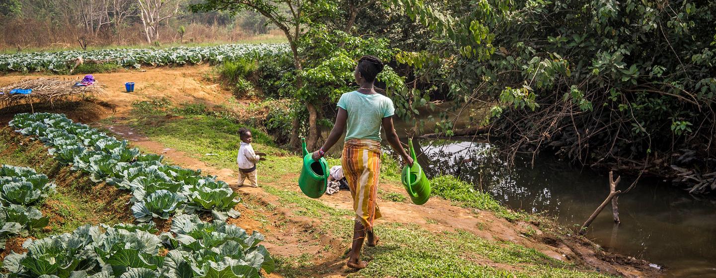 Farmers around the world are championing change at a local level.