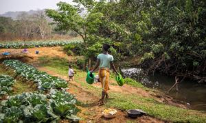 Farmers around the world are championing change at a local level.