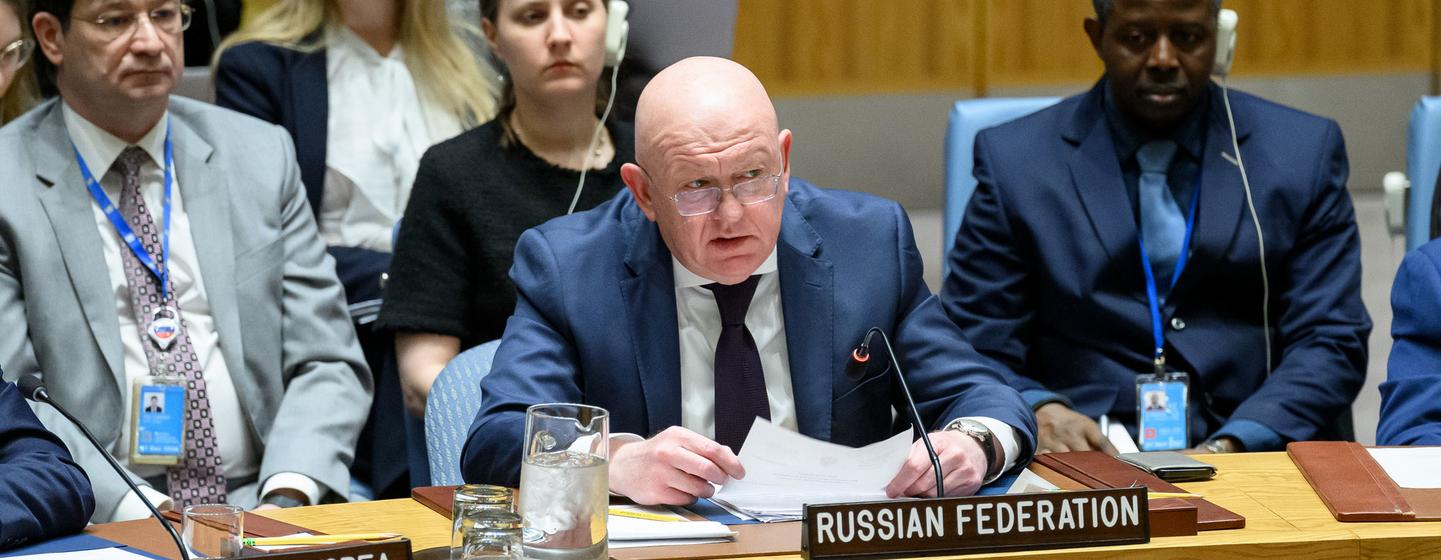 俄罗斯常驻联合国代表涅边贾。