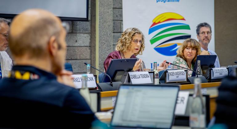 UNEP's Executive Director Inger Andersen at the 31st Session of the International Resource Panel in Nairobi.