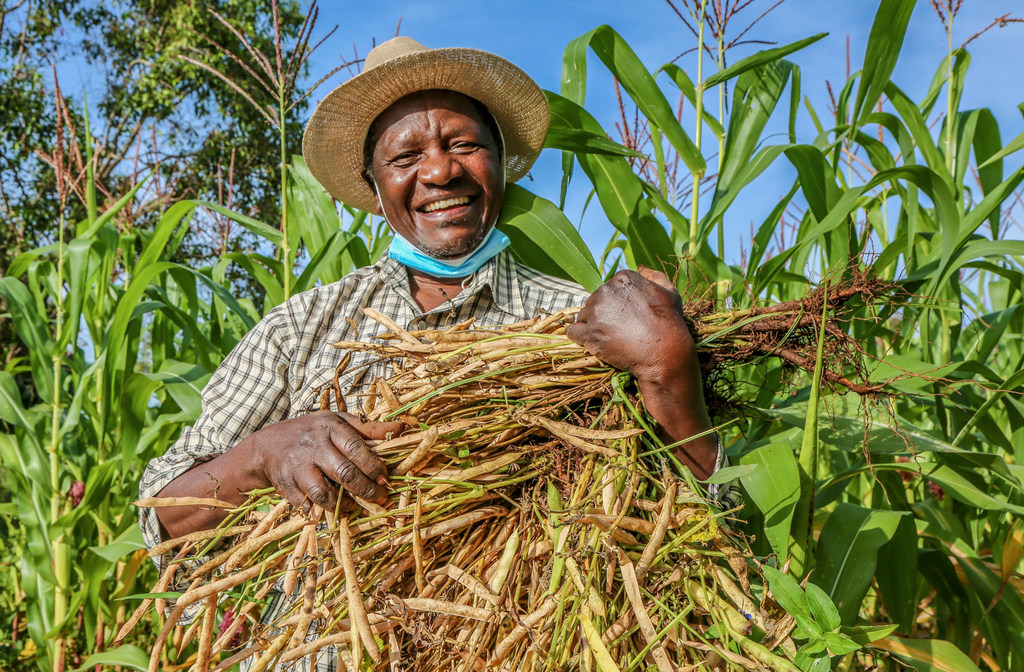 Reginald Omulo est un agriculteur qui est passé de la culture du tabac à celle des haricots, au Kenya.