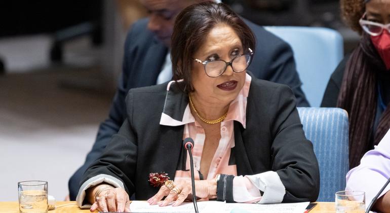 Pramila Patten, Special Representative on Sexual Violence in Conflict, briefs the Security Council meeting on women and peace and security.