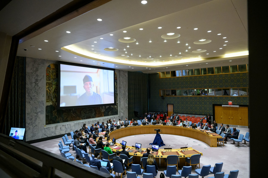 بانكولي أديوي (على الشاشة)، مفوض الاتحاد الأفريقي للشؤون السياسية والسلام والأمن، أثناء إحاطته أمام مجلس الأمن. 