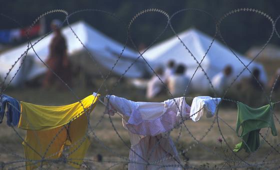 1995年，25000人逃离斯雷布雷尼察，居住在流离失所者营地。