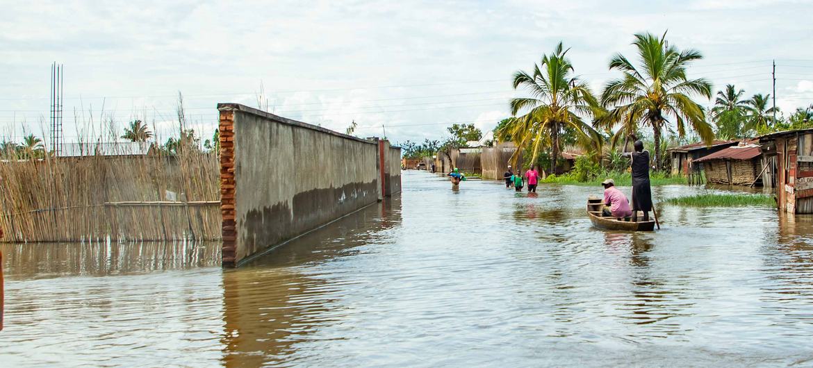 media:entermedia_image:312ce7b7-a050-4da7-a072-b98205461b22