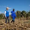 A diretora executiva do WFP, Cindy McCain, e um pequeno agricultor caminham por um campo de talos de milho secos na Zâmbia.