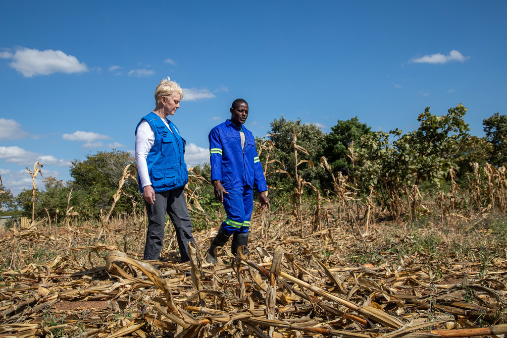 Mkurugenzi Mtendaji wa WFP Cindy McCain aakiangalia uharibifu unaosababishwa na ukame uliokithiri wa El Niño nchini Zambia.