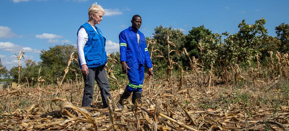 WFP Executive Director Cindy McCain inspects the devastation caused by El Niño-induced drought in Zambia.