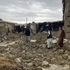 من الأرشيف: فرق المنظمة الدولية للهجرة وأفراد المجتمع يقيمون الأضرار الناجمة عن الزلزال المدمر في باكتيكا، أفغانستان.