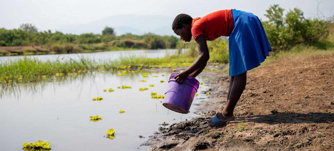 Severe drought conditions in Malawi have drastically reduced access to safe water, increasing the risk of waterborne diseases.