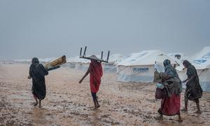 Nearly 18 months of fighting have killed thousands and impacted millions across Sudan, including in Kassala, eastern Sudan.