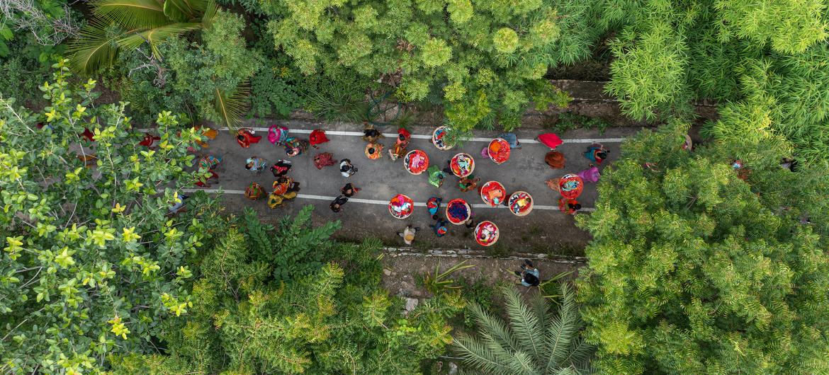 A procession of mothers carry their newborn daughters to plant trees celebrating their birth.