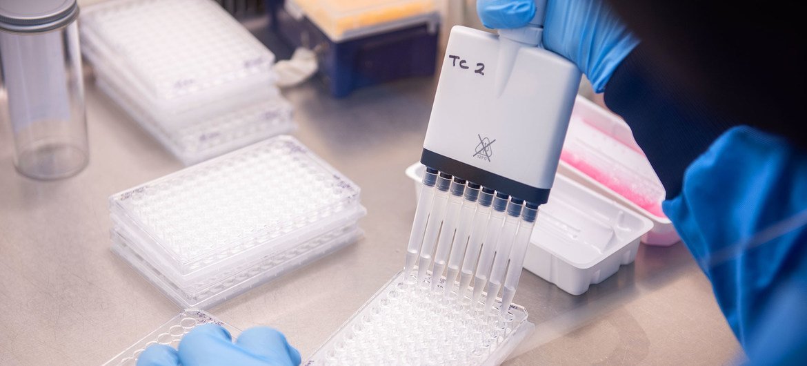 Um cientista de jaleco e luvas azuis usa uma pipeta multicanal para dispensar líquido em uma microplaca em um laboratório.