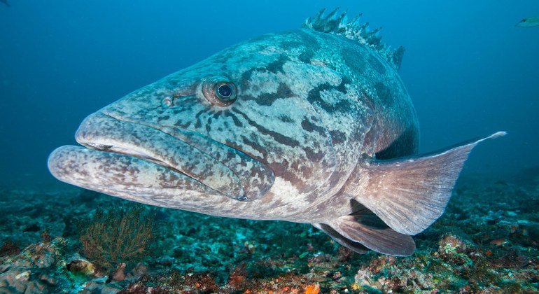 media:entermedia_image:9d569e53-8d75-4d1e-8405-b3871ebb40e9