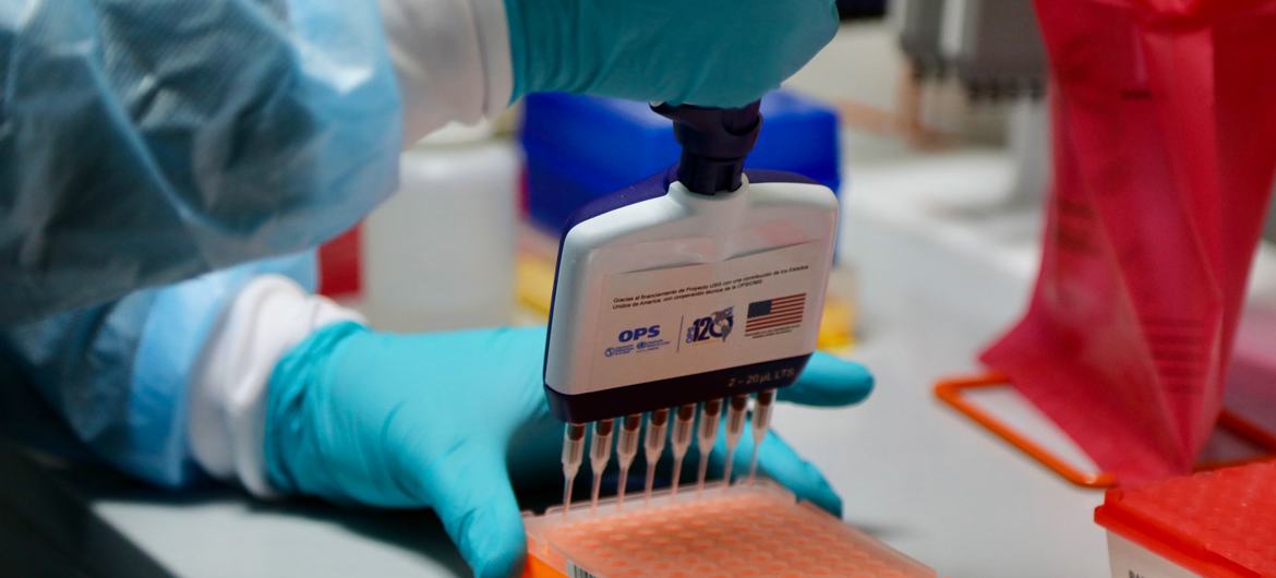 2023年6月，洪都拉斯首次对新冠病毒进行基因组测序，以检测流行变异株。