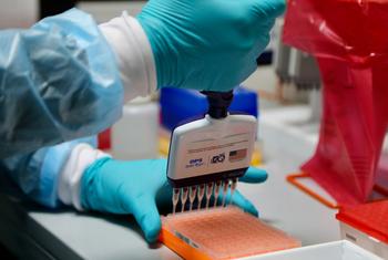 2023年6月，洪都拉斯首次对新冠病毒进行基因组测序，以检测流行变异株。