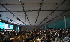 Wide shot of the plenary hall at the UN climate conference, COP29, in Baku, Azerbaijan.