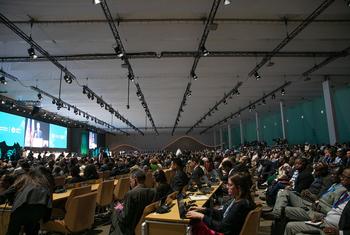 Wide shot of the plenary hall at the UN climate conference, COP29, in Baku, Azerbaijan.