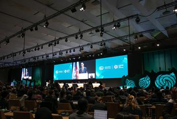 قاعة الاجتماعات في مؤتمر الأمم المتحدة التاسع والعشرين حول المناخ، في باكو- عاصمة أذربيجان