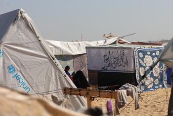 Muitas pessoas deslocadas vivem em tendas no bairro de Tal Al-Sultan, no sul da Faixa de Gaza