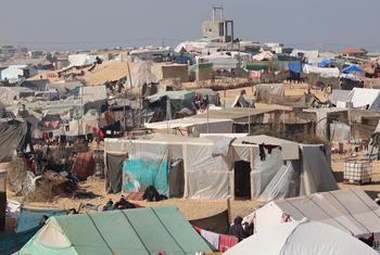Лагерь перемещенных лиц на юге сектора Газа. 