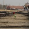 Uma rosa colocada nos trilhos do trem no Memorial e Museu Auschwitz-Birkenau, Polônia