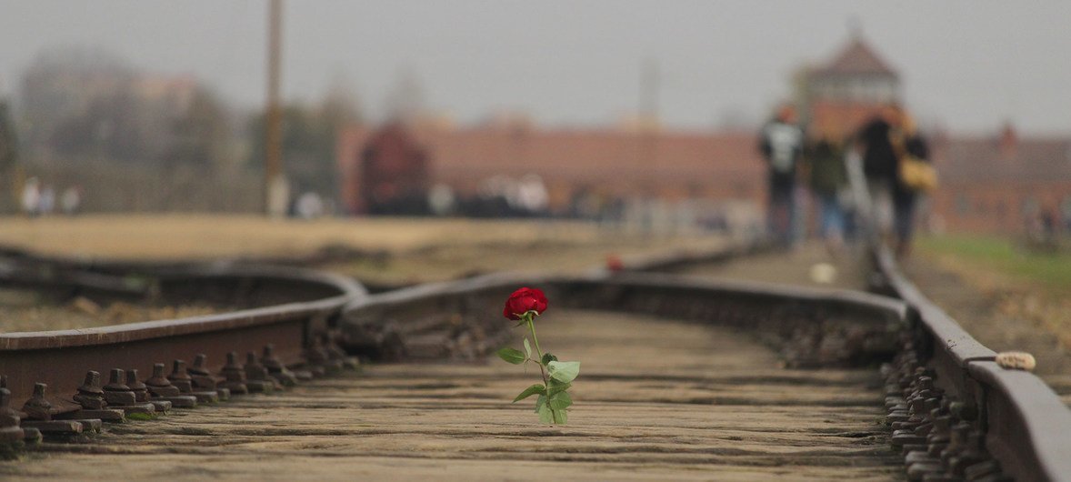 पोलैंड के आउशवित्ज़-बर्केनाउ में स्मारक और संग्रहालय के पास एक रेल ट्रैक पर पीड़ितों की स्मृति में गुलाब का फूल. 