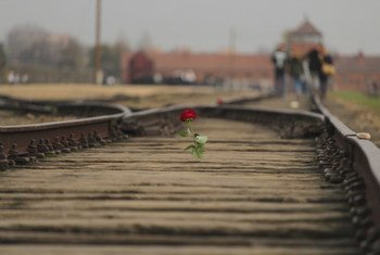 Uma rosa colocada nos trilhos do trem no Memorial e Museu Auschwitz-Birkenau, Polônia