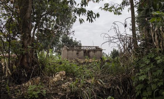 RDC : la MONUSCO repousse des attaques nocturnes en Ituri