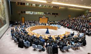 The Security Council meets on maintenance of peace and security of Ukraine.