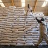World Food Programme (WFP) staff members load bags of split yellow peas onto a truck in a WFP warehouse based in El Fasher, North Darfur, Sudan.