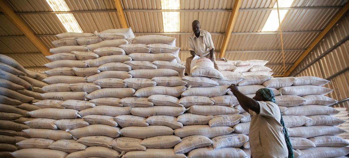 Miembros del personal del Programa Mundial de Alimentos (PMA) cargan bolsas de guisantes amarillos partidos en un camión en un almacén de la agencia con sede en El Fasher, en Darfur del Norte (Sudán).