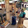 Msumbiji: Kadi za e-vocha ya WFP  inasambazwa na ofisi ndogo ya Tere yake katika wilaya za Changara na Moatize. (Maktaba)