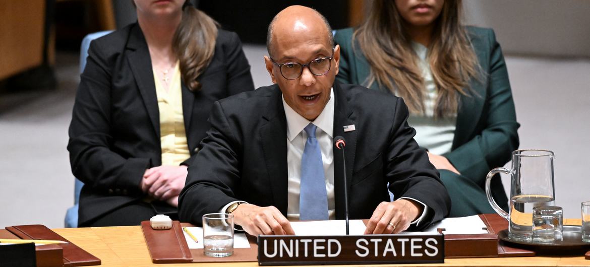 Deputy Permanent Representative Robert Wood of the United States addresses the UN Security Council.