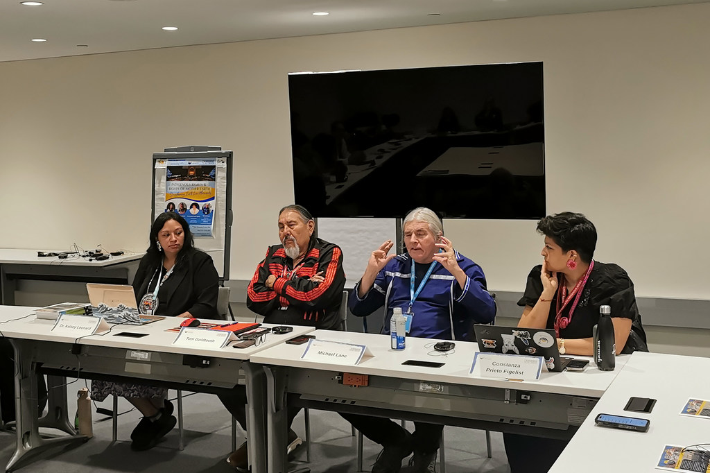 Durante una de las sesiones del Foro Permanente para las Cuestiones Indígenas, celebrado en la sede de las Naciones Unidas en Nueva York, Constanza Prieto subrayó la importancia del derecho de la naturaleza, que promueve el respeto a los limites naturales y a los ecosistemas.