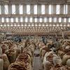 Processed tobacco is packed in a warehouse in Malawi. (file)