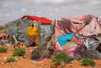 Cada vez hay más personas desplazadas en Somalia debido a la sequía.