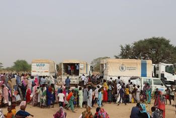चाड पहुँचे सूडानी शरणार्थियों को, WFP की खाद्य सहायता का वितरण.