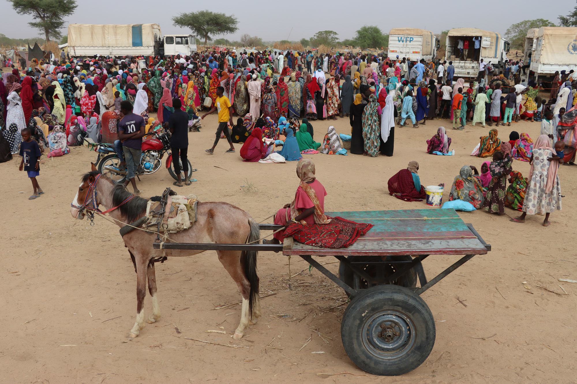 تزايد أعداد اللاجئين والنازحين بسبب الصراع في السودان