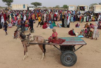 لاجئون سودانيون يصلون إلى تشاد فرارا من أعمال العنف في السودان.