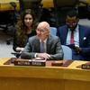 Исполняющий обязанности Специального представителя по Сомали Джеймс Свон на заседании Совбеза ООН.
