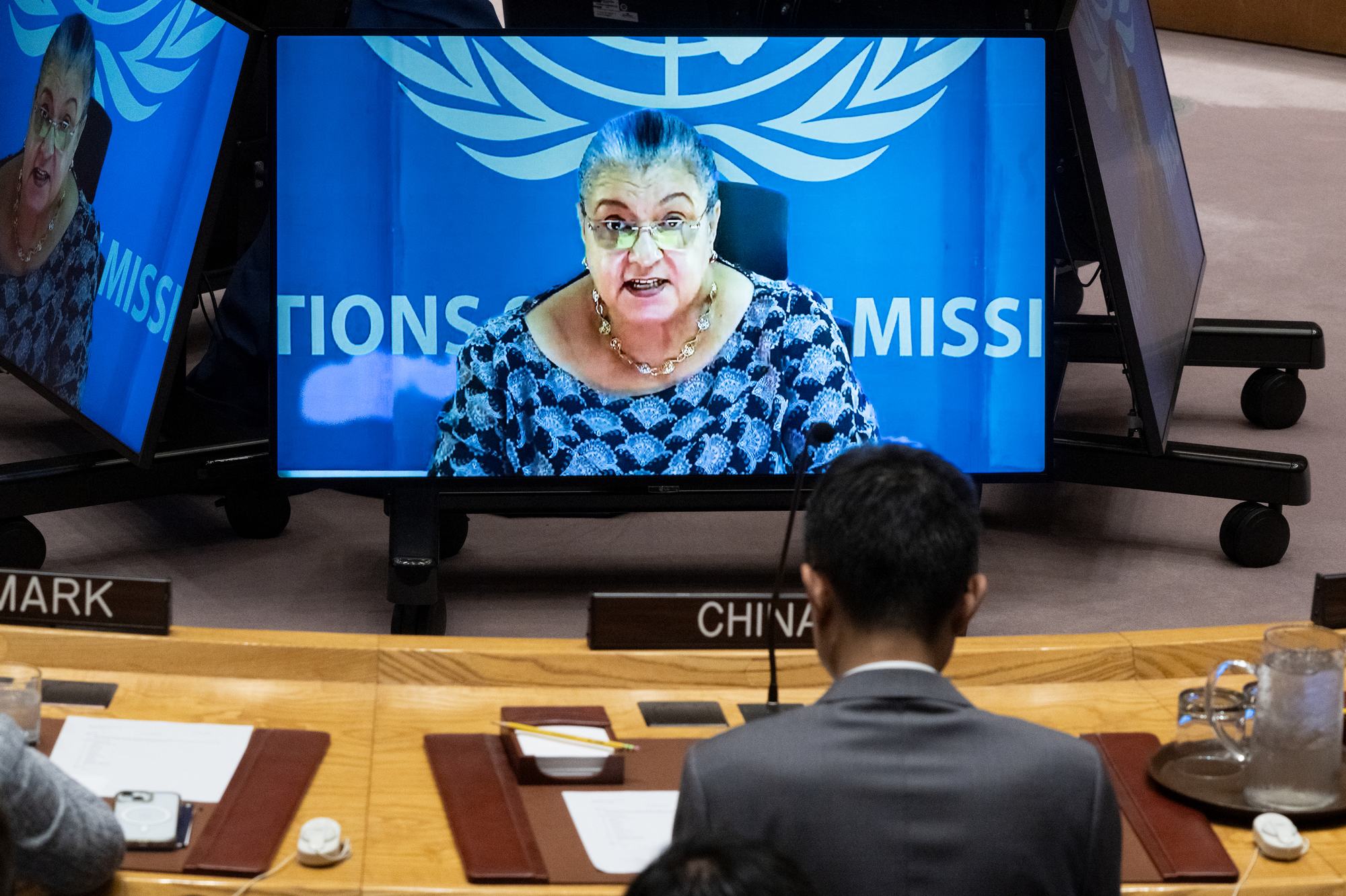 Hanna Serwaa Tetteh, cheffe de la Mission d'appui des Nations Unies en Libye (MANUL) et Représentante spéciale du Secrétaire général pour le pays, informe le Conseil de sécurité depuis Tripoli.
