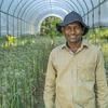 श्रीलंका के उत्तर में प्याज़ की खेती करने वाले किसान रथनायके, कम पैदावार के कारण कृषि छोड़ने पर विचार कर रहे थे. 