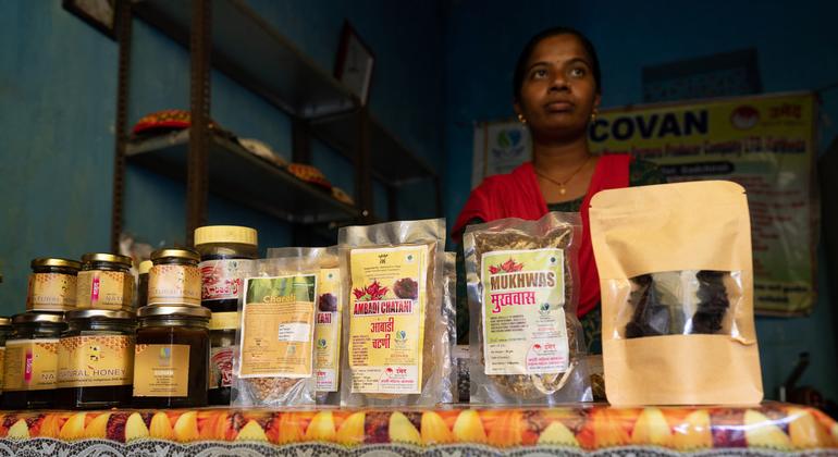 पैकेज किए वन उत्पाद ख़रीदारी के लिए तैयार हैं.