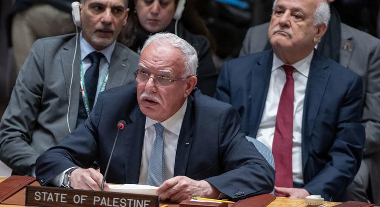 巴勒斯坦国外交部长马利基在安理会发言。