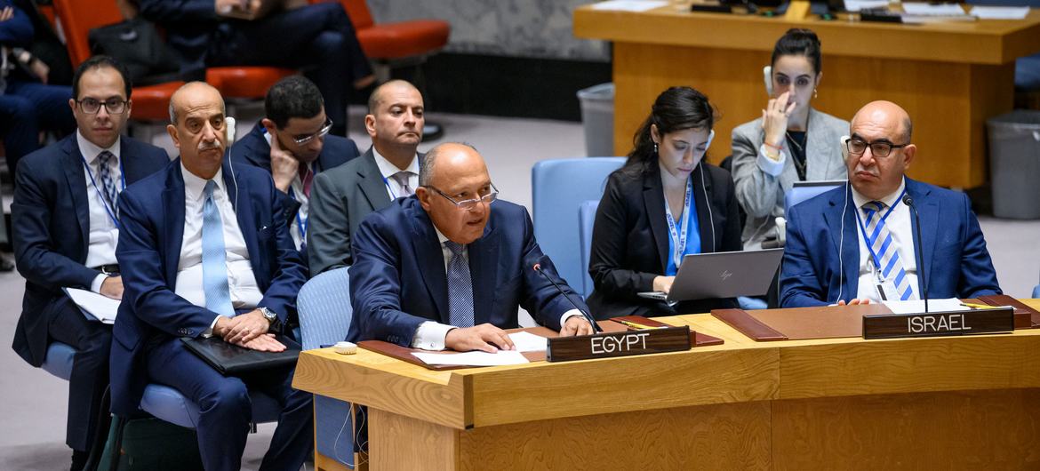 Foreign Minister Sameh Hassan Shoukry Selim of Egypt addresses the Security Council meeting on the situation in the Middle East, including the Palestinian question.