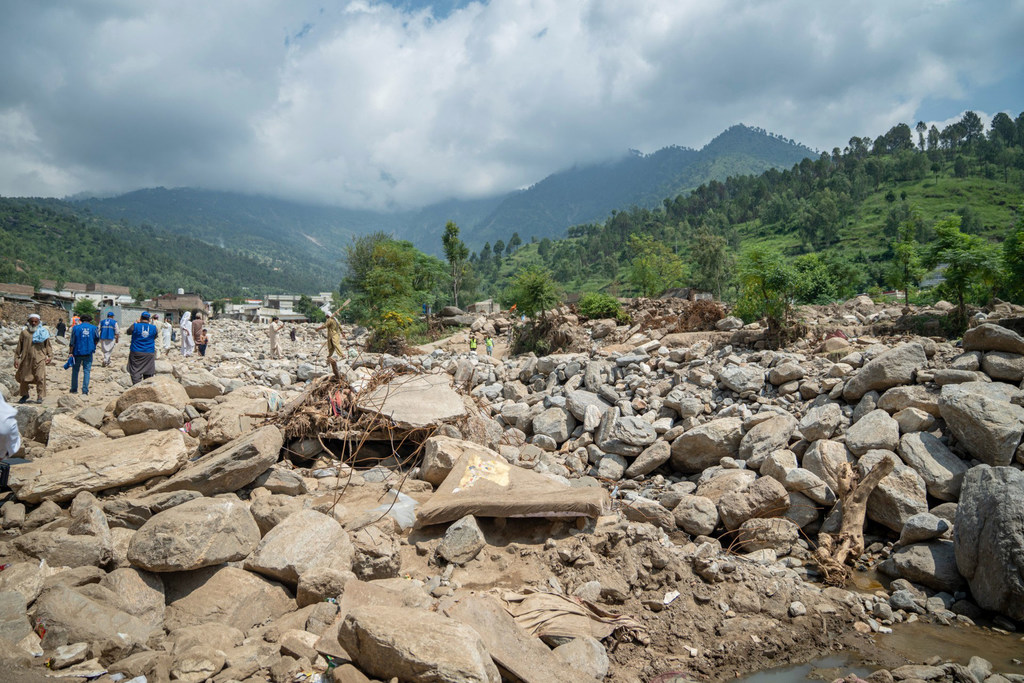 media:entermedia_image:3ac0f638-7ad7-49b1-b7fb-b8225abc6ed3